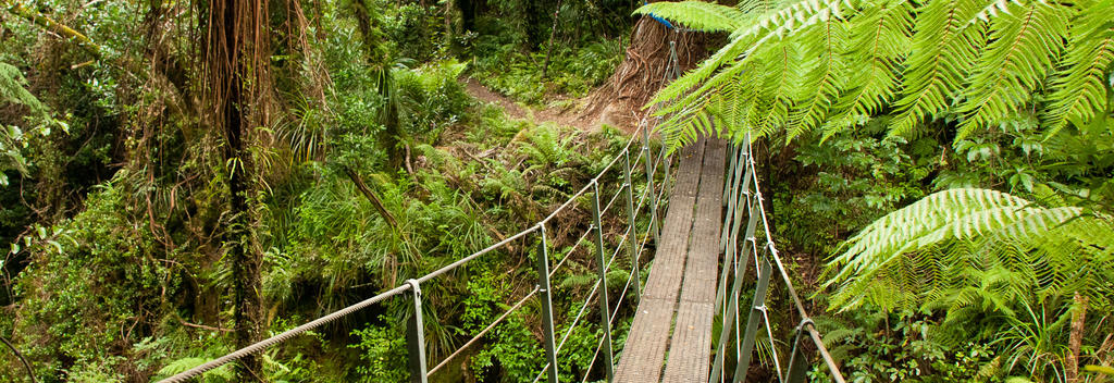 Der Orongorongo-Flusspfad im Rimutaka Forest Park