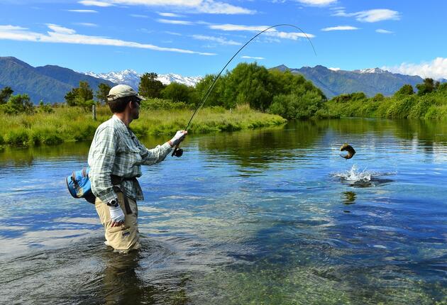 Anglers from all over the world look to New Zealand as the mecca of angling - the world's best wild trout fishery.  Find out more about fishing in New Zealand.
