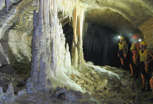 Entdecke riesige Höhlensysteme mit Glühwürmchen und fantastischen Felsformationen. 