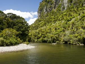 The Pororari River in Punakaiki