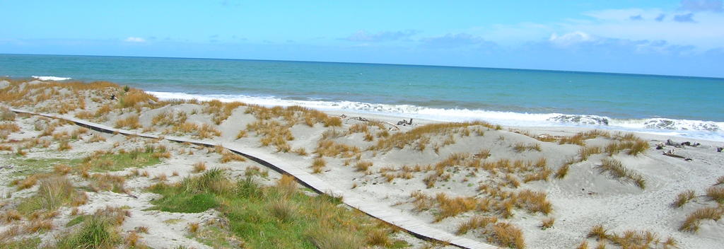 Strand und Sanddünen am Ship Creek, Jackson Bay, NZ