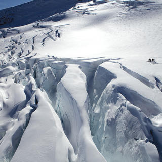 Treat yourself to a scenic helicopter flight, landing high up on a glacier in the Southern Alps.