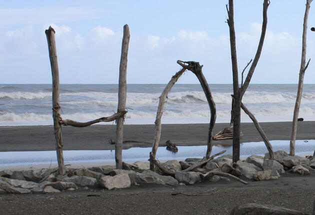 Historic Hokitika is a place to appreciate the fascinating history of the West Coast. Hear about the ship wrecks, gold miners and pounamu hunters that lived in this stunning coastal area.