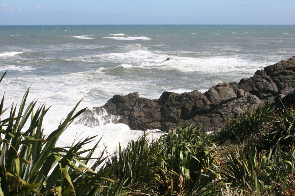 逆风角（Cape Foulwind）位于西港（Westport）附近，这里有海豹栖息地。