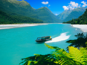 Wilderness safari on the Haast River