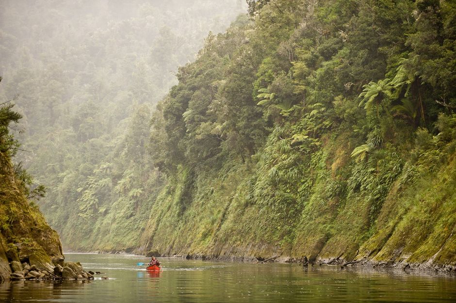 Take a guided canoe journey of Whanganui River.