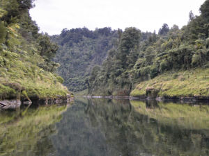 In early times there were Maori villages along the length of the sheltered Whanganui River valley.