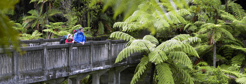 Take a jet boat ride or kayak to this fascinating site deep in the ancient forest.