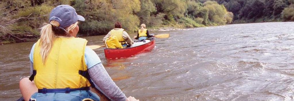 Take a canoe safari deep into the wilderness of the Whanganui National Park.