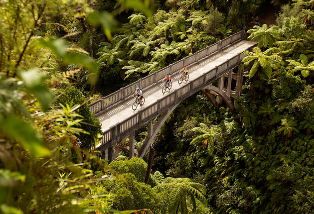 Der Weg des Mountains to Sea Trail führt durch den Tongariro National Park und den Whanganui National Park und verbindet weitere regionale Highlights wie die Ohakune Old Coach Road, die Bridge to Nowhere und die Whanganui River Road.  