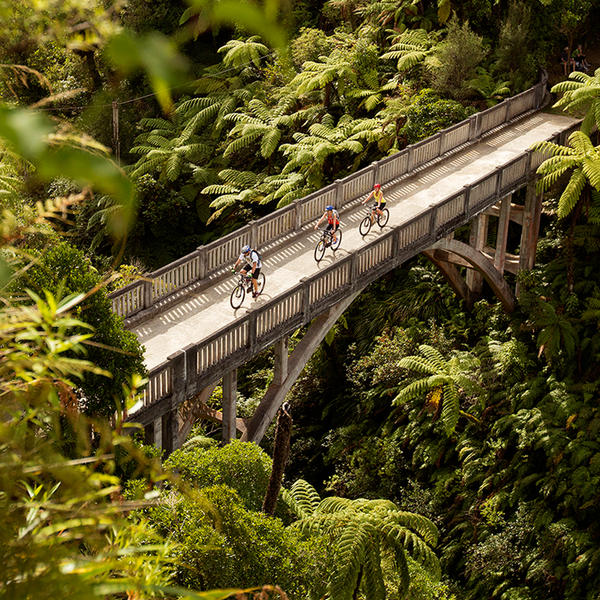 Die Brücke ins Nirgendwo mitten im Whanganui Nationalpark lässt sich am besten auf einer Radtour entdecken.