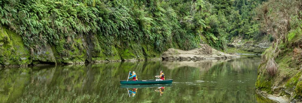 Kayak or canoe the Whanganui River