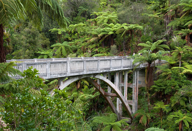 豊かな原生林の奥深くに架かる奇妙な橋を渡ってみましょう。なぜここにあるのか、どこへ続いているのかと好奇心をくすぐる不思議な橋です。