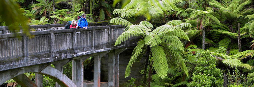 Bridge to Nowhere in Whanganui National Park