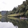 Der geschichtsträchtige Whanganui River ist umgeben von üppigem, einheimischem Buschland – der echten neuseeländischen Wildnis.