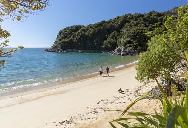 尼尔森和塔斯曼位于新西兰南岛西北部，是新西兰阳光最充足的地区。它以其迷人的风景和金色海滩而闻名，绝对是新西兰旅游不容错过的必去地点。