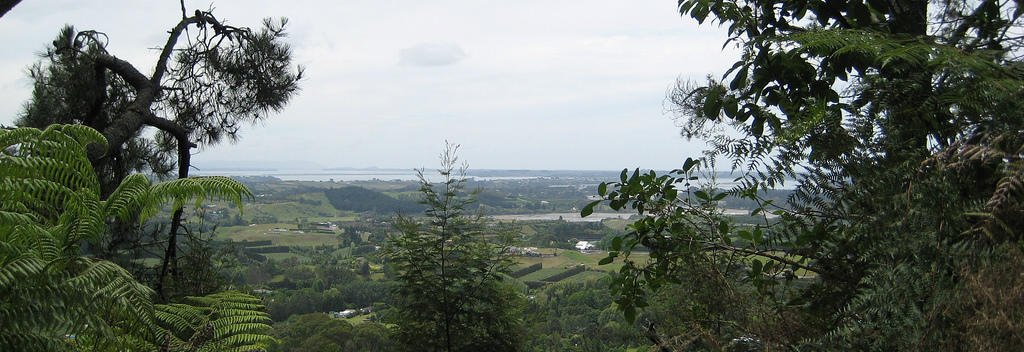 Te Puna Quarry Park is a short drive from Tauranga.  Volunteers developed and maintain the 32 hectare area which was once a quarry but now has different themed gardens which are open to the public for free / koha.