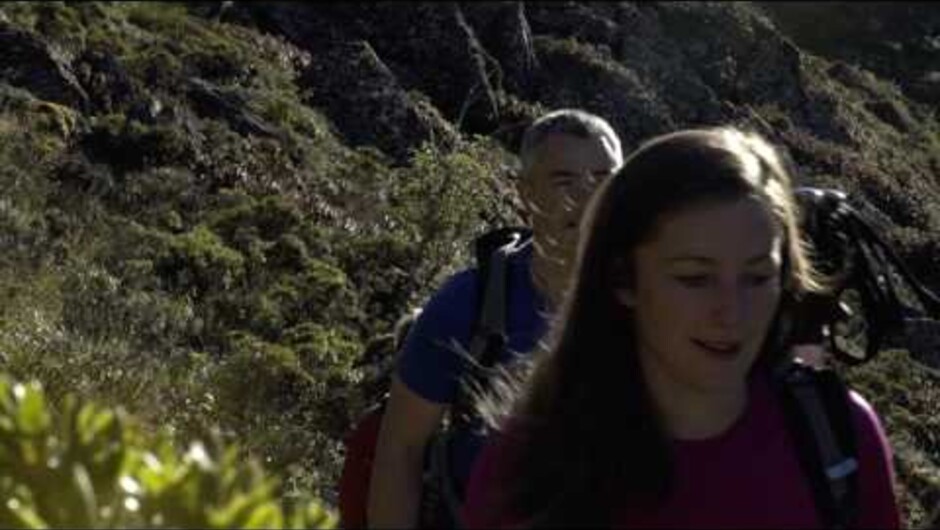 The Routeburn Track Guided Walk is a 3 day/2 night adventure. departing Queenstown it is all inclusive of accommodation and food, and you are accompanied by experienced guides on an alpine hike with stunning views.