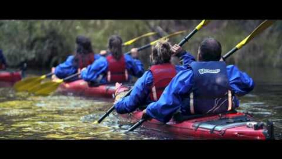 A look into the Waimarino's Scenic Lake McLaren Kayak Day Tour Enjoy the wonderful calm Lake McLaren where serenity takes a new name. Gently paddle a kayak past a multitude of birdlife, literally within paddles' reach. Sheer cliffs break the stark lush na