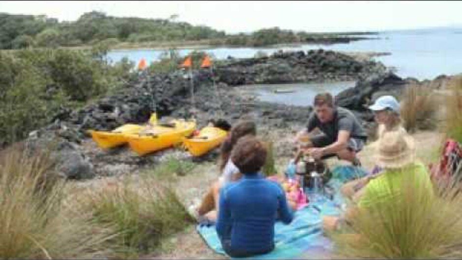 Auckland Sea Kayaks, providing the 'Essential Auckland Experience'