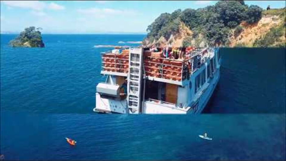 This video was captured from Ciska Jong aboard Bay Explorers Best Day Ever cruise! Amazing things to come ! Go follow and like Ciska Jong: www.facebook.com/NZadventures Instagram: @NZ_adventures Like and share for more amazing footage! Remember to allow n