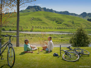 The Hawke's Bay Trails are mostly flat providing easy riding.