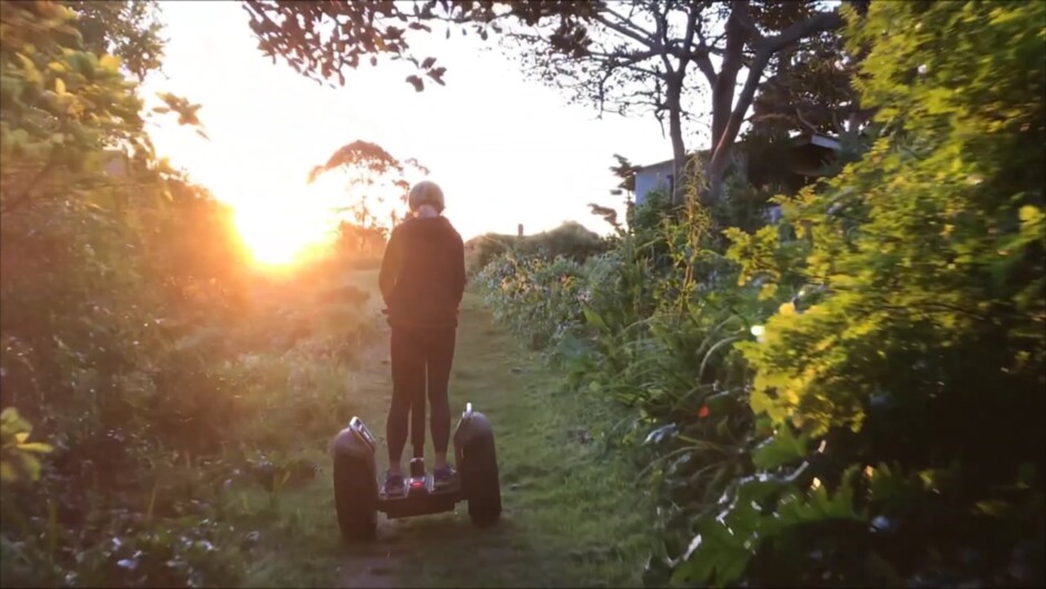 SegWai Waiheke Island - Off-road Segway - Twilight Journey