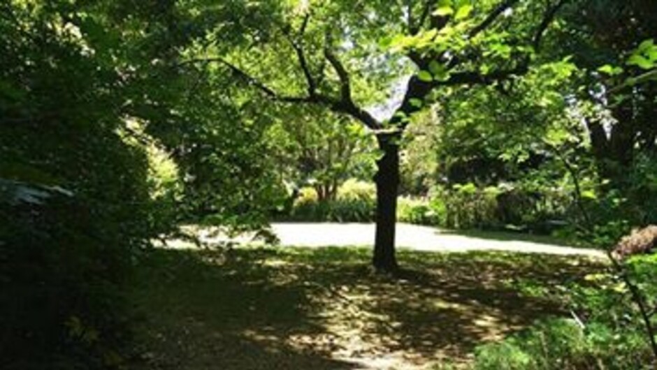 Katikati Bird Gardens summer days