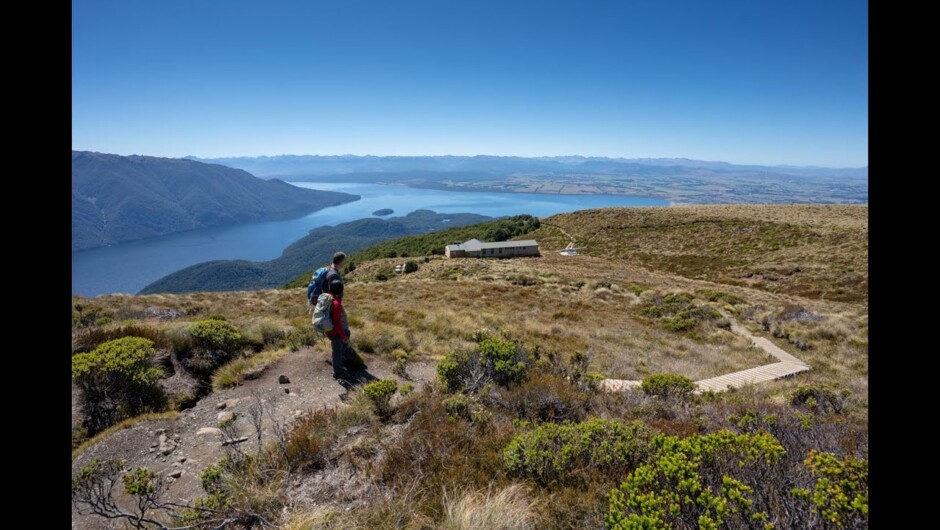 Fiordland Heli hike with Southern Lakes Helicopters