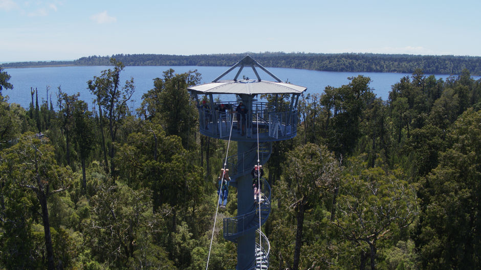 People zip lining in West Coast Tree Tops Ziplining and Walkway