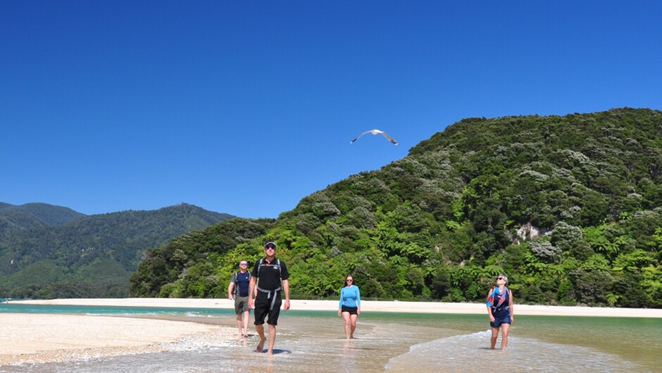 Cruise and Walk Trips in Abel Tasman National Park.