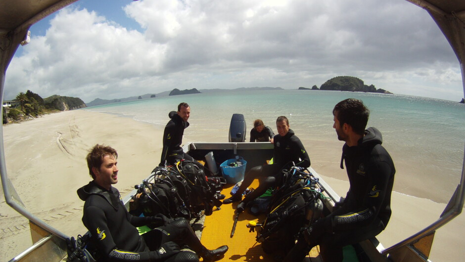 Get you PADI learn to dive Scuba Dive certification with Cathedral Cove Dive & Snorkel.