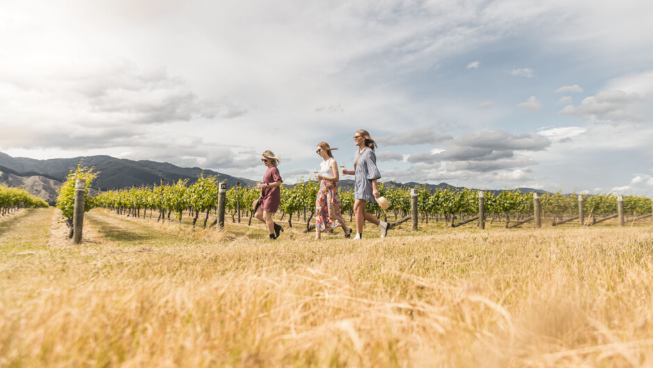 Friends walking through vines on Sip Marlborough tour