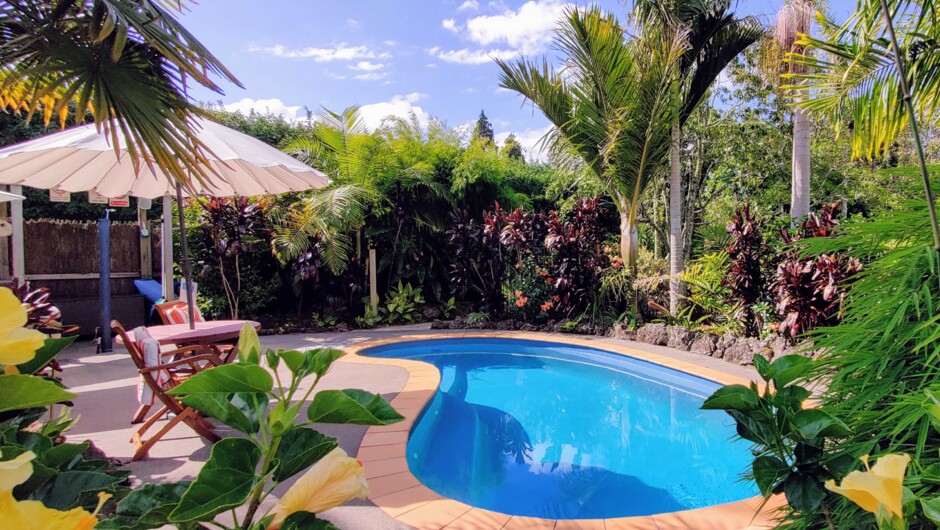 Relax in our beautiful lagoon pool garden. The solar heating ensures it is a comfortable temperature all season.