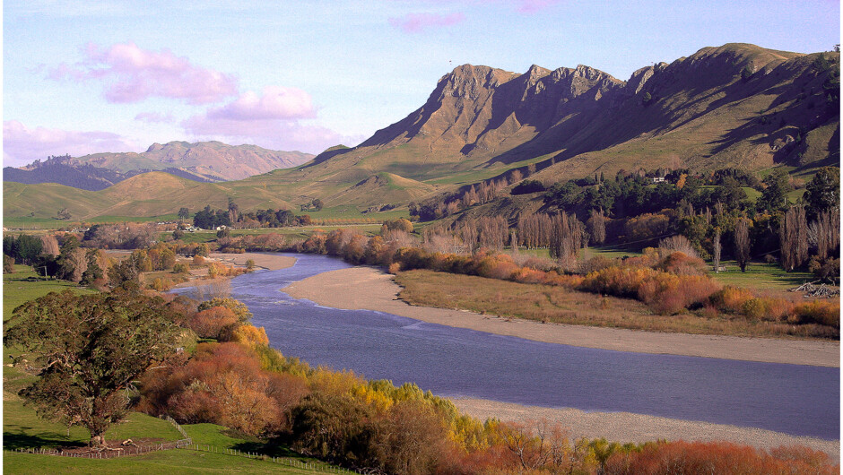 Fantastic rural vistas, visit stunning lookouts, see many different types of farming with Hawke's Bay Scenic Tours