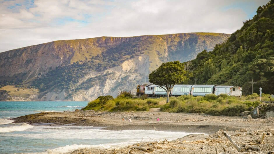 Coastal Pacific train roams across the wild beaches of Oaro