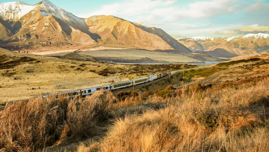 TranzAlpine train straddles Cass Bank with Mount Binser rising in the background.