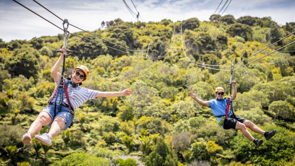 Our twin ziplines make a usually solo activity a social one.