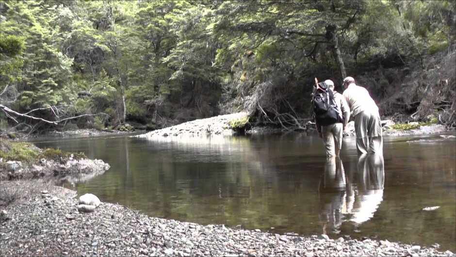 New Zealand Fly Fishing - Leon's Seven Day Taupo Adventure
