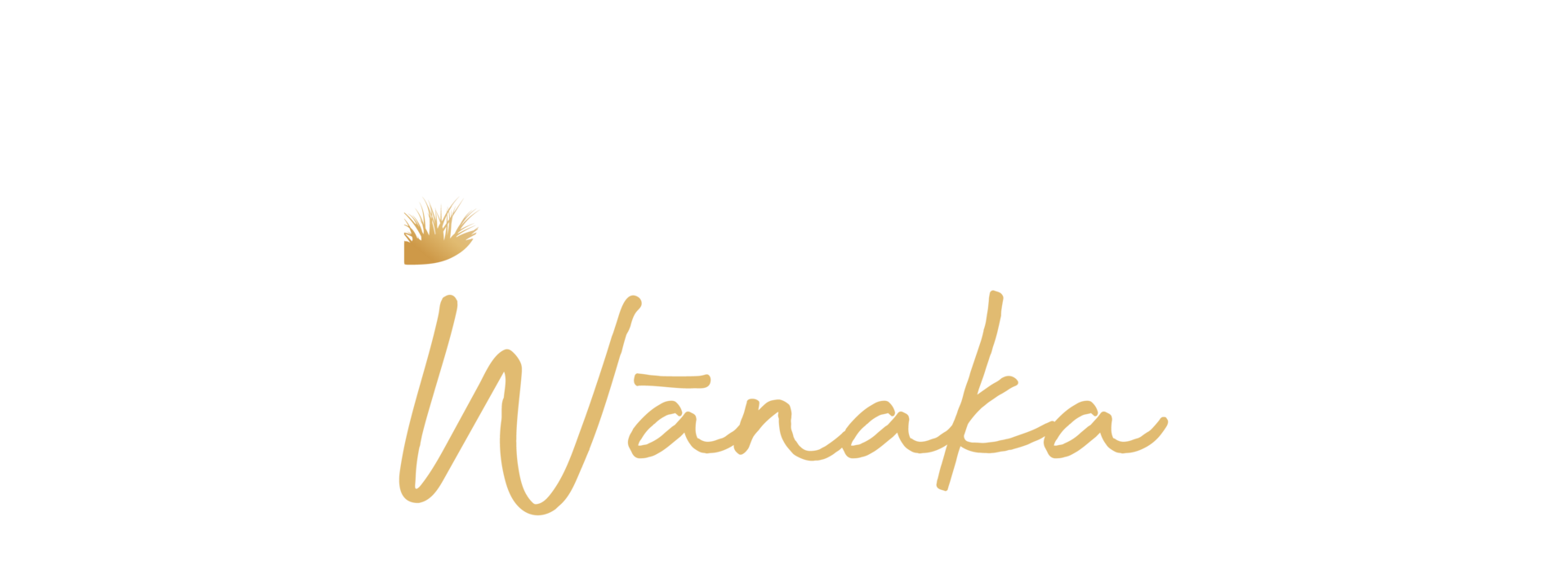 1Ridgeline Wanaka_Logo_N_Online 201022 (2).png