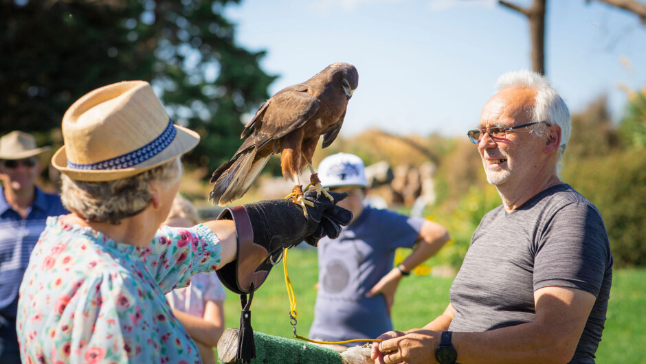 The Raptor Experience is suitable for all ages