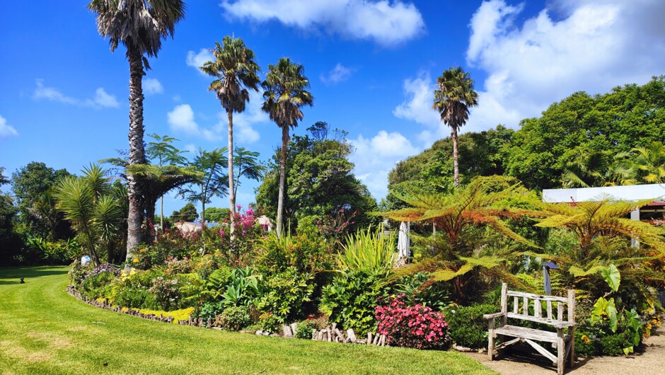 Explore our 1.5 acres of tropical gardens - there are destinations to discover and relax in throughout.