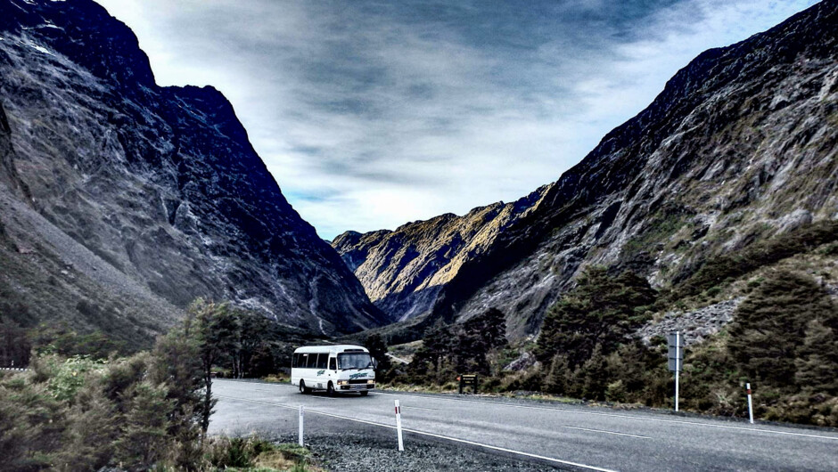 Tracknet bus on the Milford Road