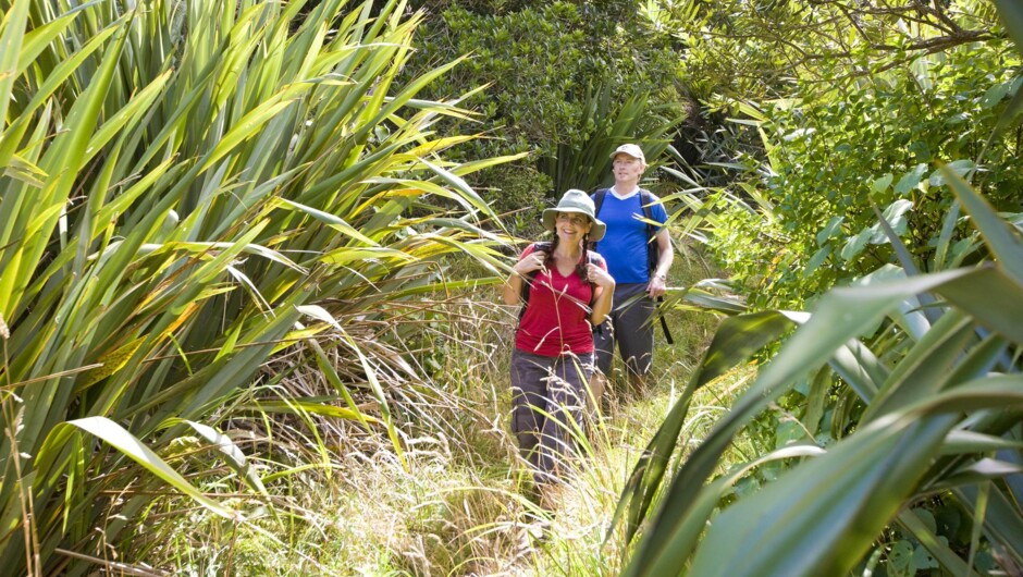 Auckland Guided Wilderness Walks with TIME Unlimited Tours