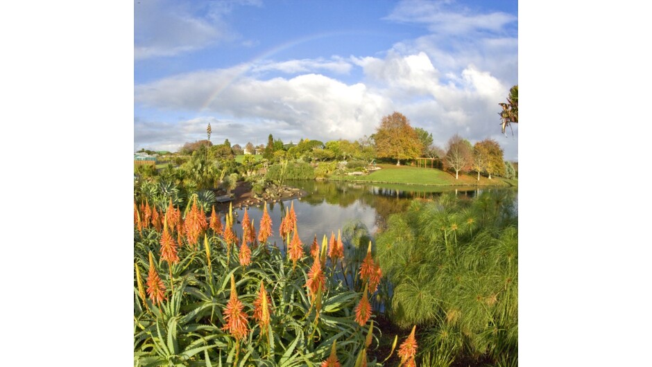 Auckland Botanic Gardens Upper Lake in the Autumn.