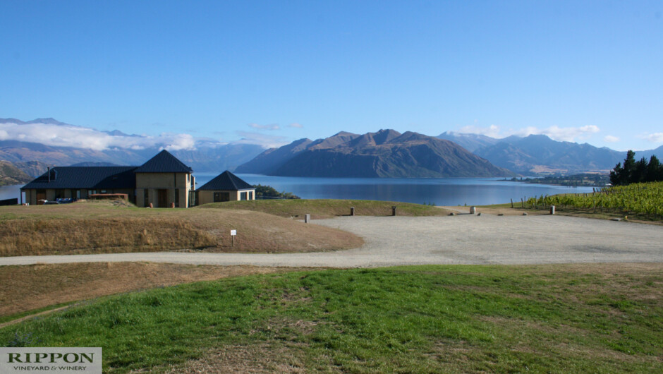 Rippon Vineyard, Lake Wanaka