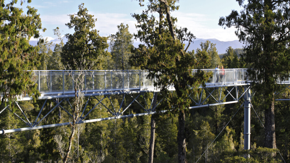 West Coast Tree Top Walk