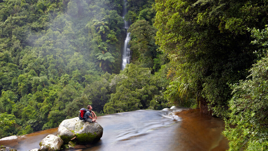 Savour the tranquility of the largest remaining tract of native forest in the North Island.