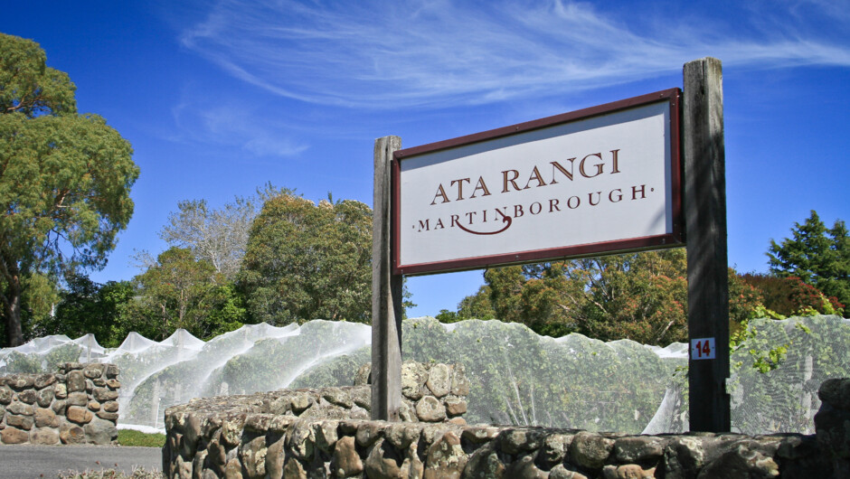 Ata Rangi - Winery & Vineyard Martinborough