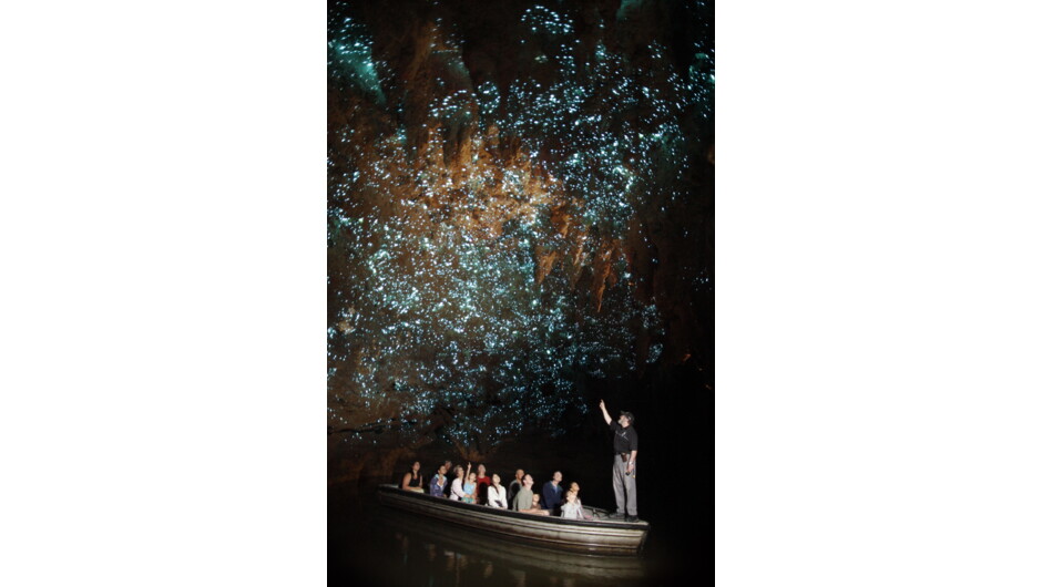 Waitomo Glowworm Cave